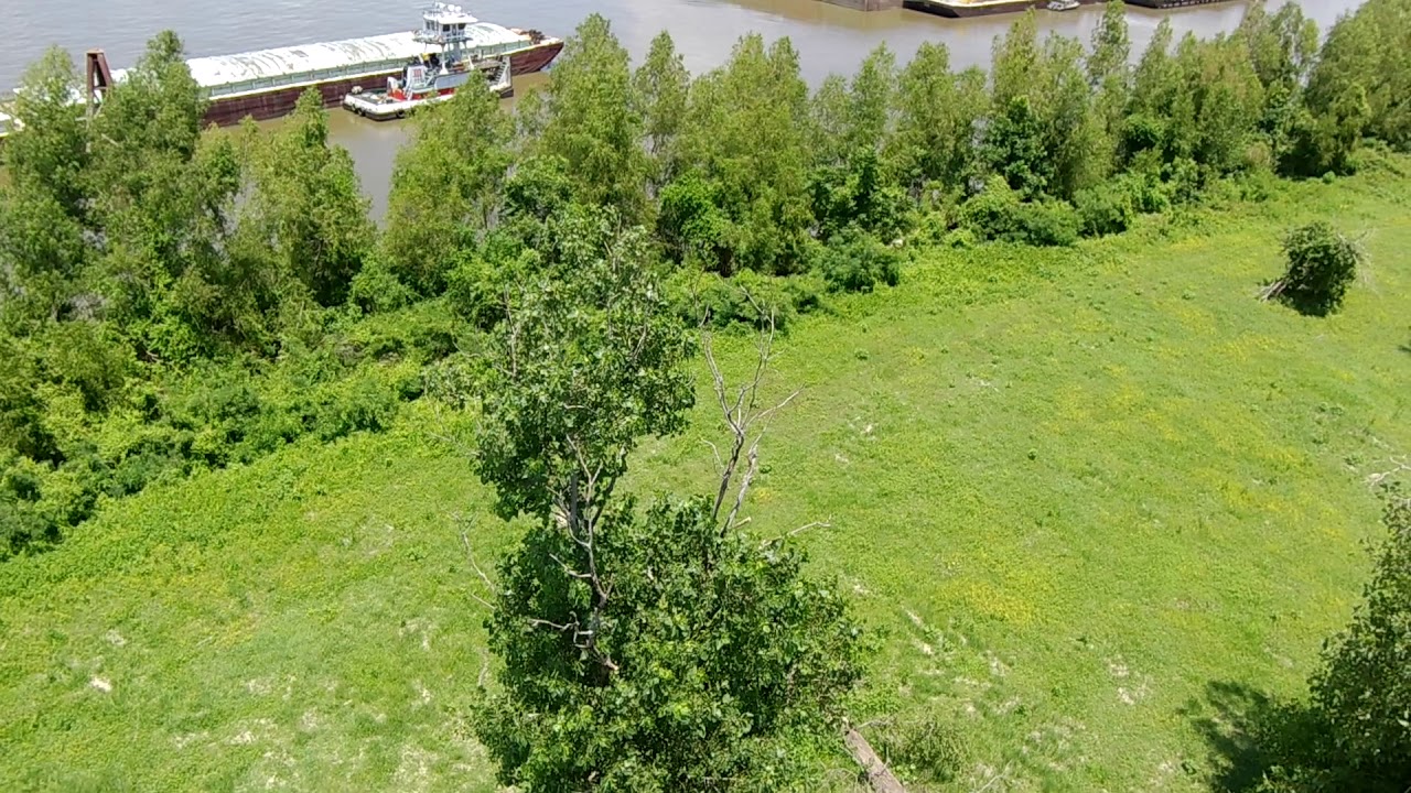 Keyshare Kimon Drone - Cottonwood tree at the Mississippi River levee - YouTube