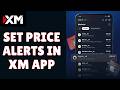 How to Set Price Alerts in XM App 2026?