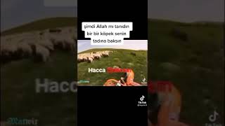 Allah'ım Allah'ım Vallahi Günahlarımdan Arınacam • Vallahi Hacca gidecem Resimi