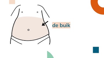 M2    Het lichaam   VIDEO