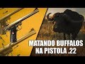 PISTOLA .22 X BUFFALO AFRICANO - THE HUNTER CALL OF THE WILD BRASIL