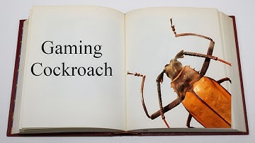 The Indie Digest: Gaming Cockroach