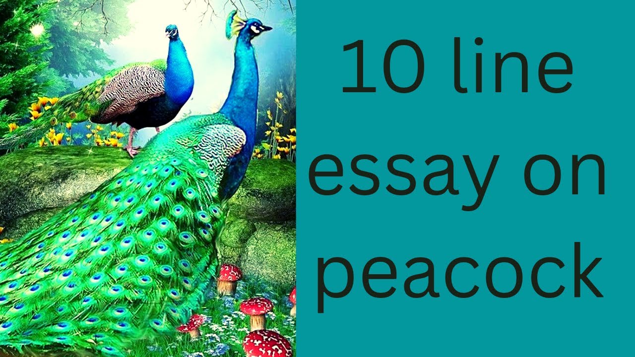 long essay on peacock in english