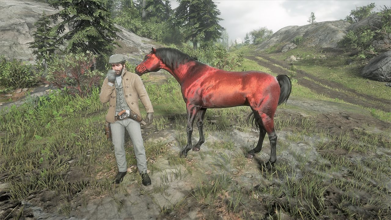 Reparation mulig Fortælle Kunstig Red Chestnut Arabian Horse Location Rdr2 - YouTube