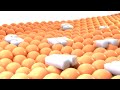 Samsung Logo Balls In RGB To BGR 