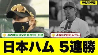 【伊藤大海完投】大塚瑠晏の3ランで試合決める…日本ハム5連勝でDeNA粉砕【なんJ・2ch】