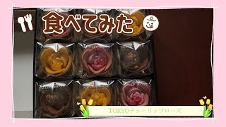 『食レポシリーズ』TOKYOチューリップローズ