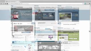 Woo Themes Wordpress