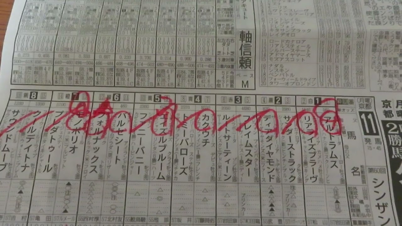 シンザン記念　反省競馬ダイジェスト～