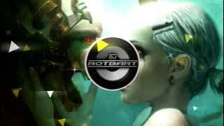 POS x Build A Bitch (Mashup Remix) - DJ Rotbart | DD Production