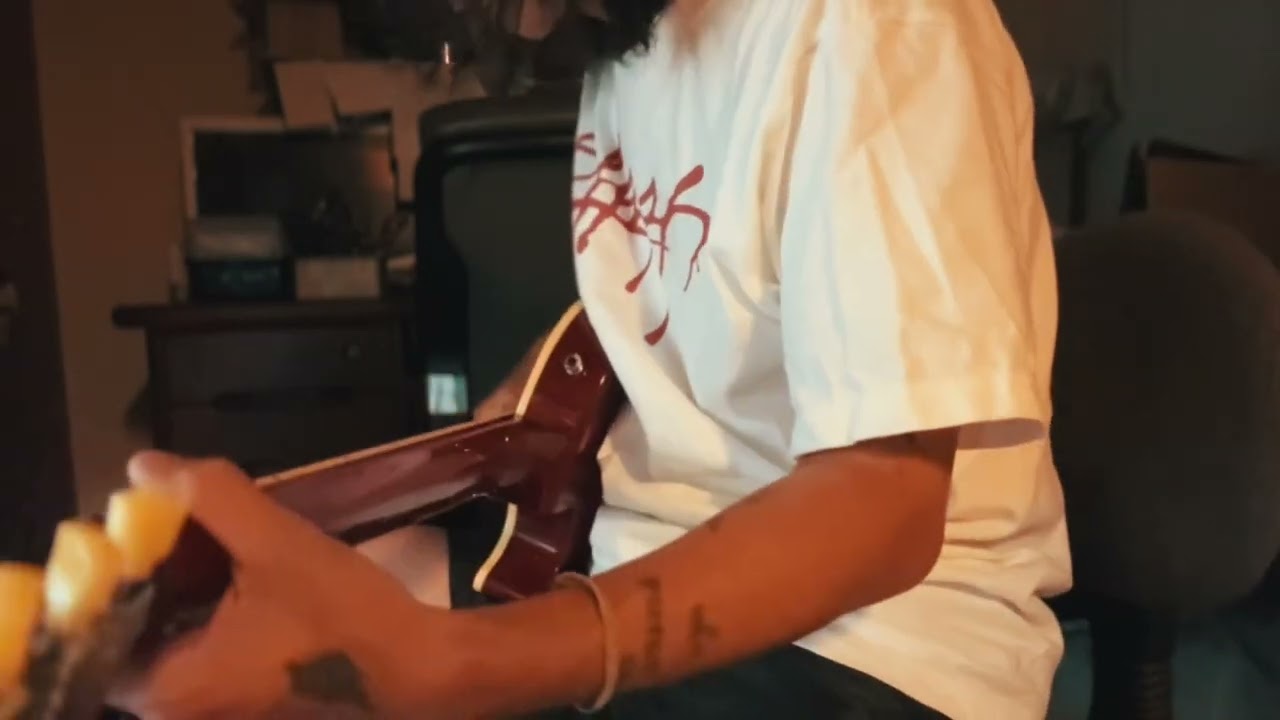 red hot chili peppers - can't stop - guitar cover