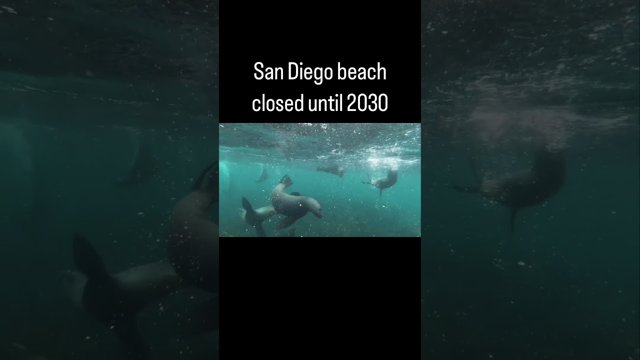 Beach Closed Until 2030 - - IT’S ABOUT TIME!!!  