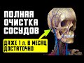 Вот что делают старые врачи для очистки сосудов головы (должен знать каждый)