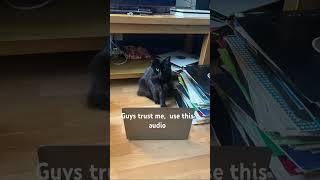 Trust Tay, It Doesnt Work.