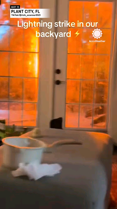 CLOSE Lightning Strike Ignites Tree!