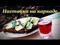 Рецепт водочной настойки на каркаде, приготовление коктейля