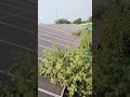 Bad 👎😡 conditions in solar penla #electrician #solarrepair #solarpower #shortsfeed #solar #shortnews
