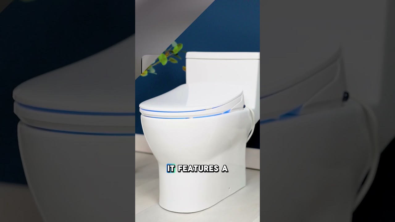 Обзор биде Alpha iX Pure | BidetKing.com