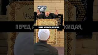 Солнце приняло Ислам