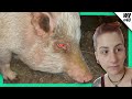 Unser Minischwein ist krank :( - Weekly Vlog #43