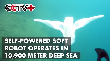 Chinese-developed Self Powered Soft Robot Operates in 10,900-meter Deep Sea