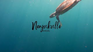 Nenjukkule - Kadal | Lyrical Video | A.R. Rahman | Shakthisree Gopalan