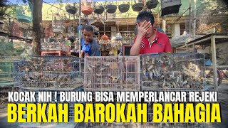 KOCAK NIH BABEH ! JUAL BURUNG KATANYA BISA BIKIN BAHAGIA BERKAH BAROKAH LANCAR REJEKI