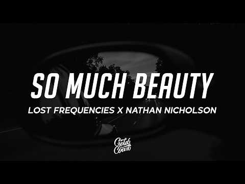 Lost Frequencies & Nathan Nicholson - So Much Beauty (Lyrics)