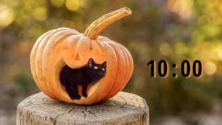 🐱 Purrfect Pumpkin Timer: 10 Minutes of Spine-Tingling Halloween Vibes 🎃