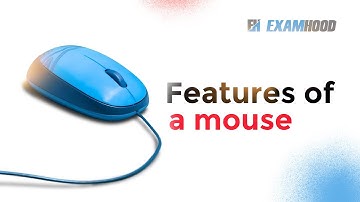 Features of A mouse; ICT   Pry 2   2nd term