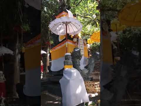 hindu bali priest with ritual