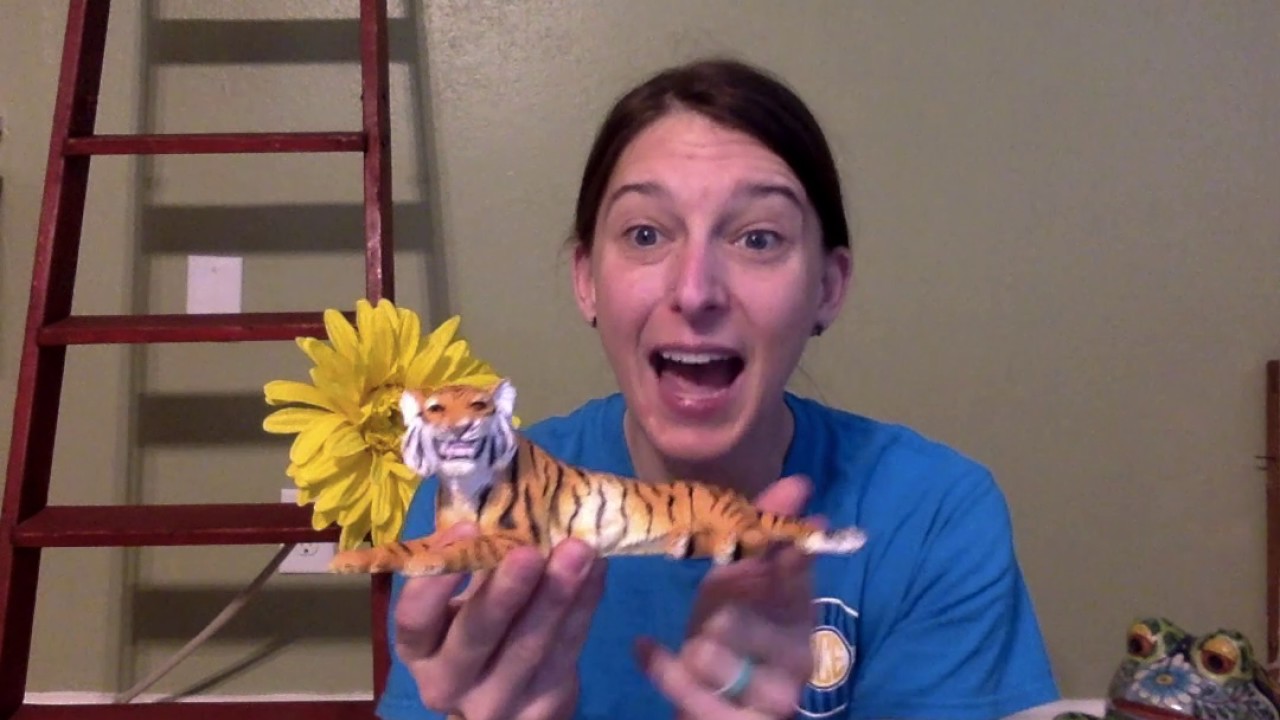 Zoo and Farm Animal Guessing Game: Onset and Rime - YouTube