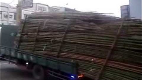 Truck Unloading Bamboo Taiwan Style