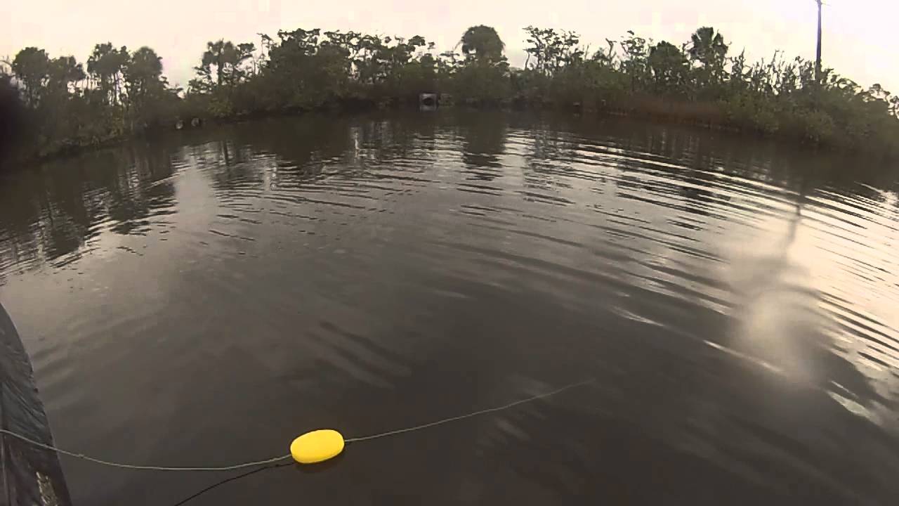 Pine Island (Florida) Fishing YouTube