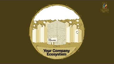 Netizen&SAP Business ByDesign for Subsidiaries The CIO Challenge