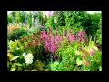 Flowers For The Garden Ideas Flowers For The Garden Ideas