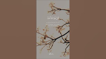 সুরা ইখলাস তিনবার শুনুন #ইসলামিক_ভিডিও #surahikhlas #قرآن_كريم #تلاوات_خاشعة #تلاوات #quran #viral