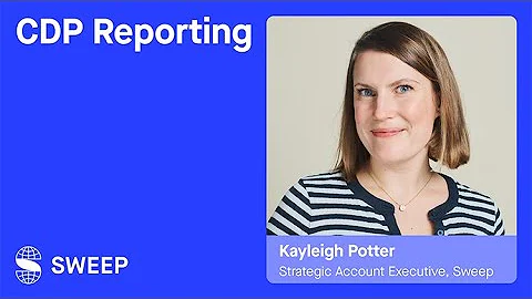 What Is CDP Reporting? A quick guide for businesses