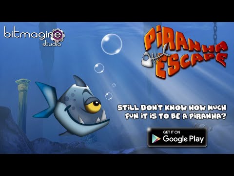 Piranha Escape
