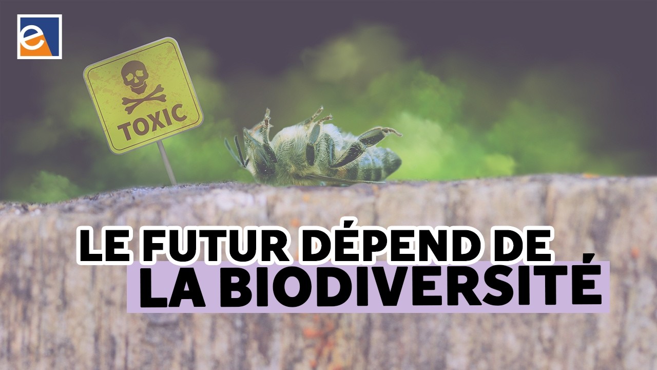 La biodiversité, un outil pour le futur [Marc-André Selosse]