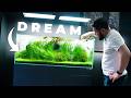 Trimming My Dream Aquascape After 7 Months