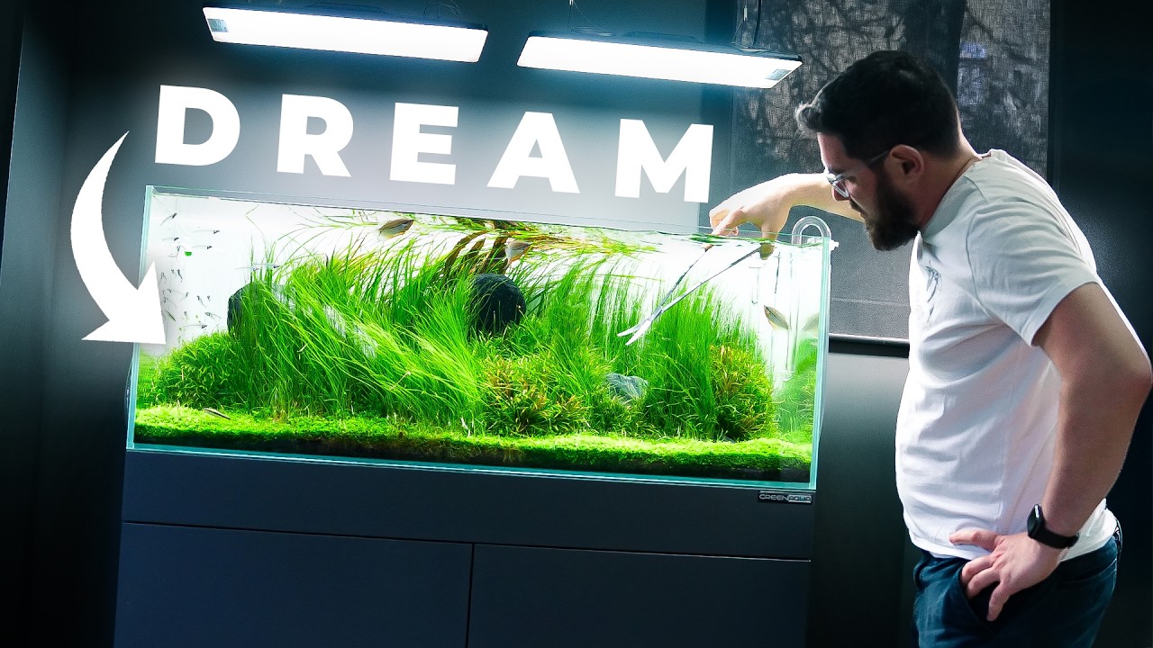 Trimming My Dream Aquascape After 7 Months