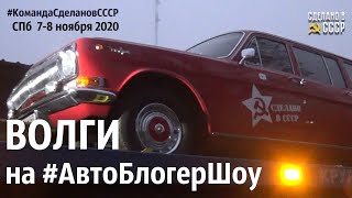 Советские ВОЛГИ на #АВТОблогерШОУ  СПб ноябрь 2020