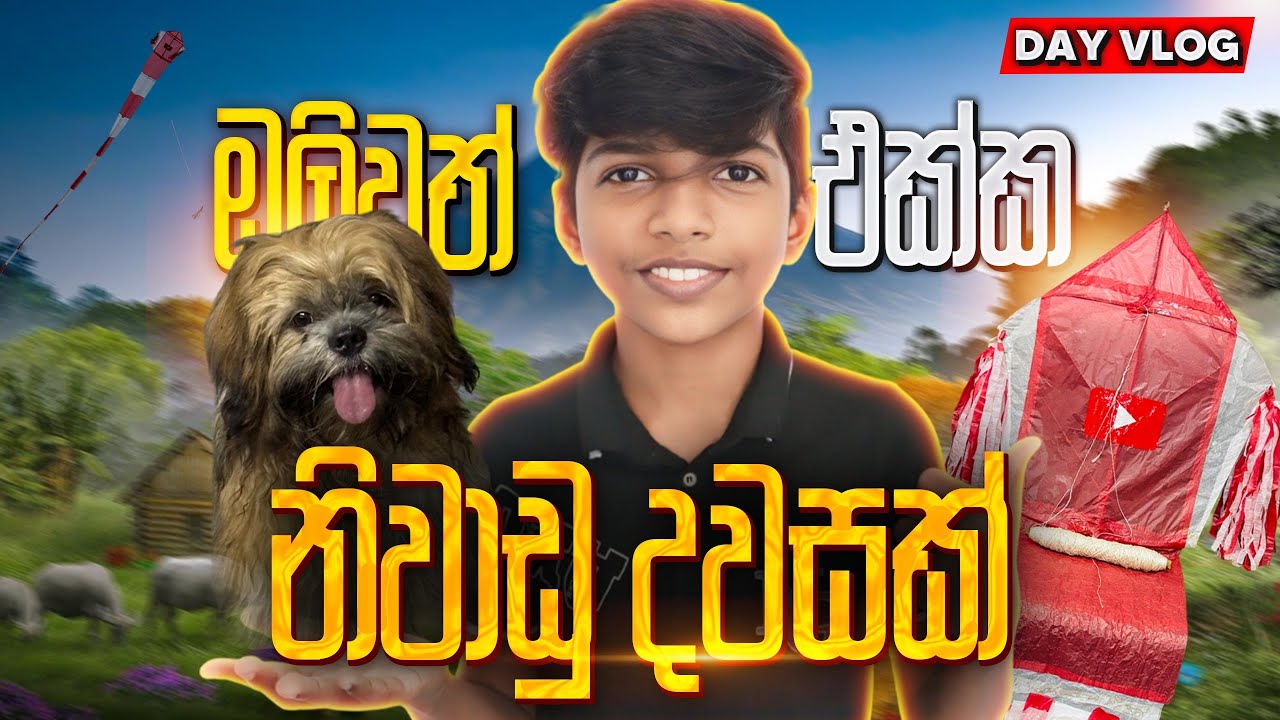 ඔලිවයි යූටියුබ් සරුංගලයි❤️A day in life | VLOG 51