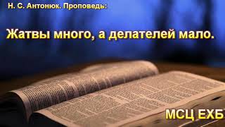 видео:  картинка: