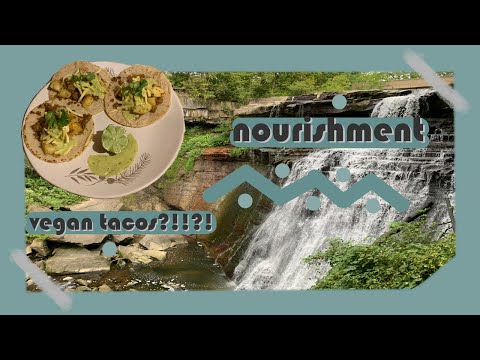 developing a healthy relationship with food | tacos, diets, vegan meals, and culture