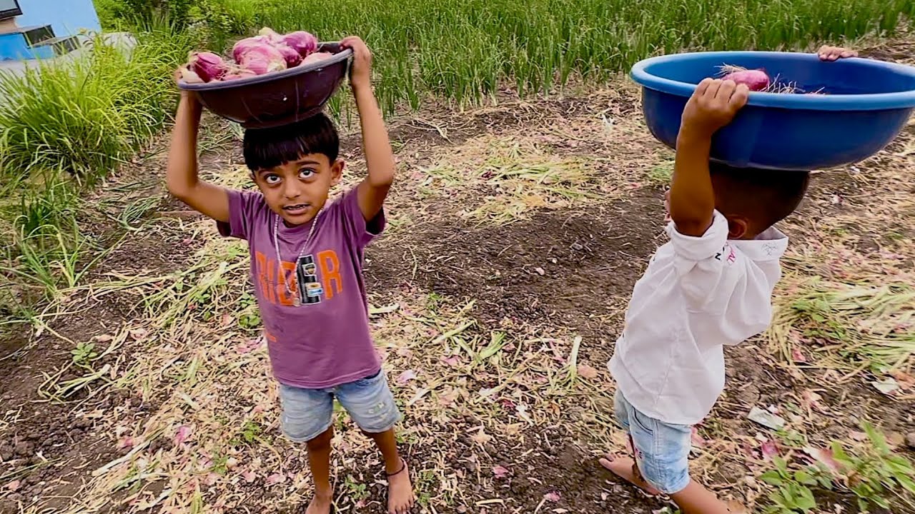 पावसाने कांदे भिजतील म्हणून माऊलीने कांदे वाहून घेतले |