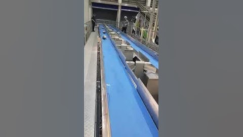 Check weigher controller BST106-M10(CK)