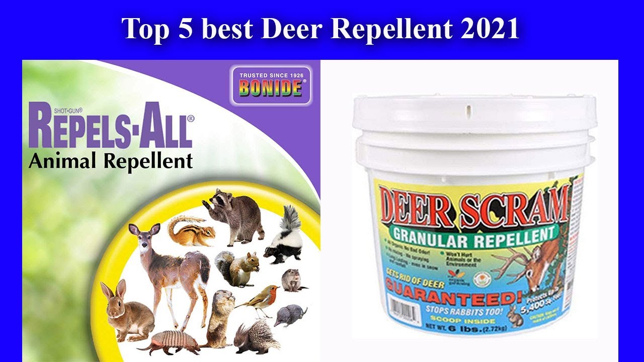 Top 6 best Deer Repellent 2021