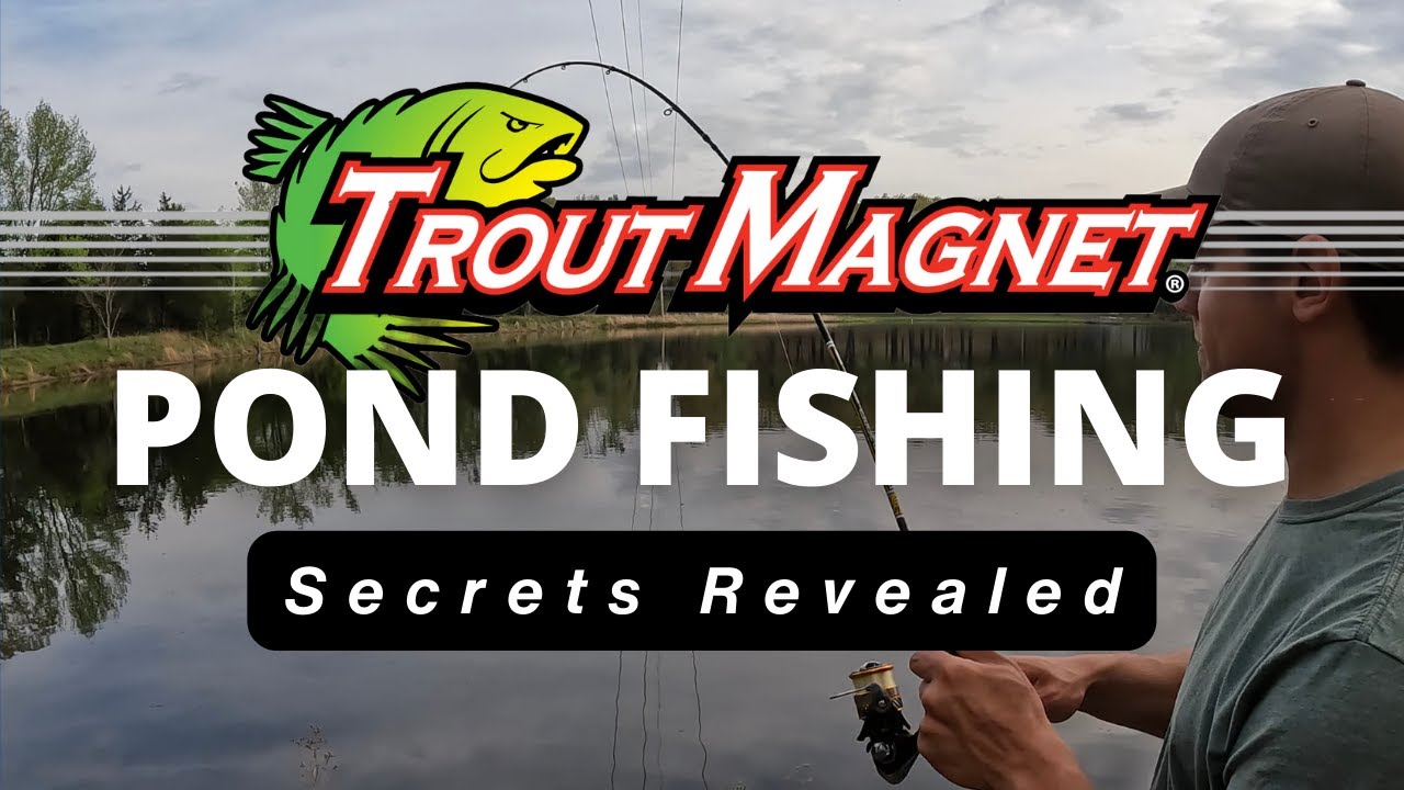 Trout Magnet Pond Fishing: Secrets Revealed 
